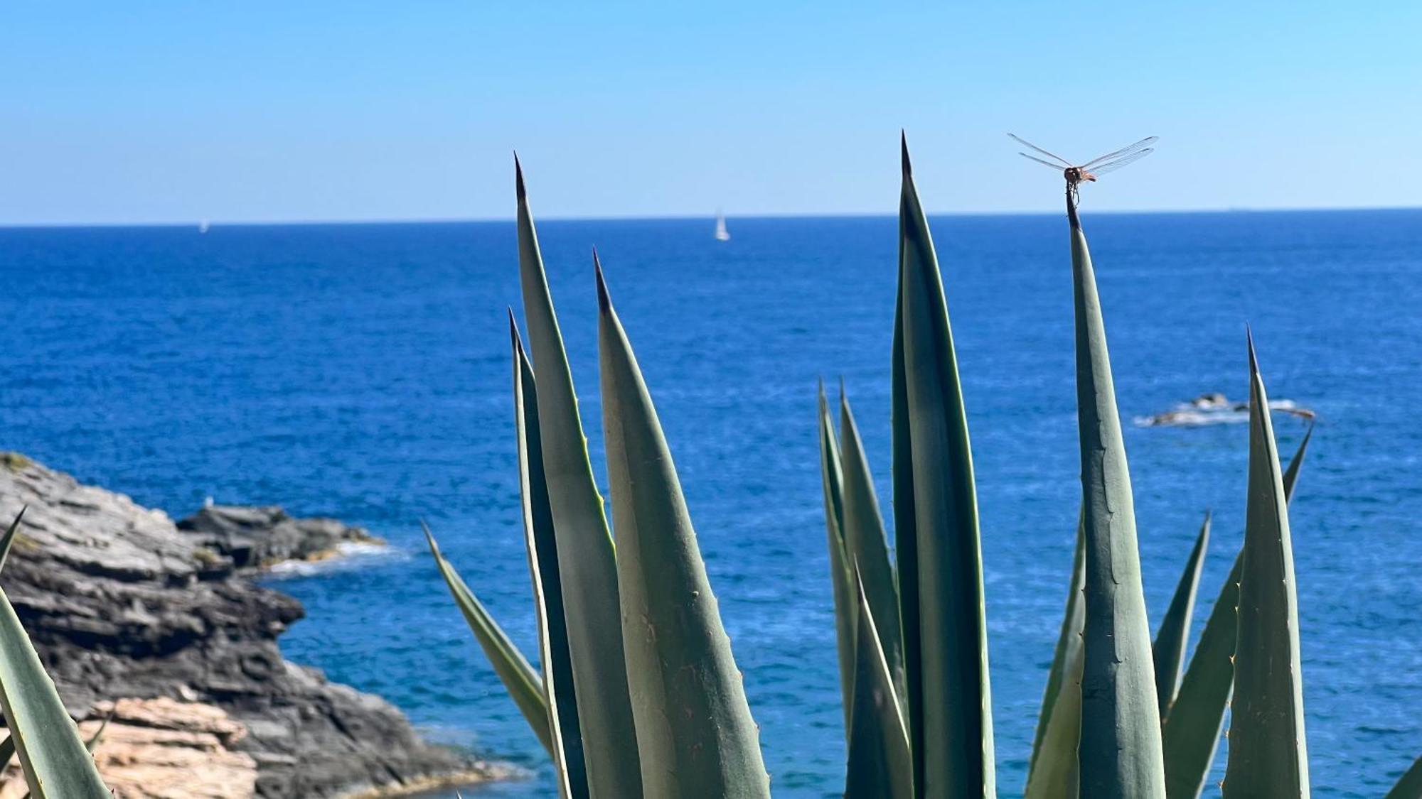 Turquesa Del Mar - Sun & Beach & Golf & Bike - Large Terrace Ground-Floor Spanish Apartment Dehesa de Campoamor  Extérieur photo